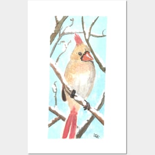 Winter red cardinal Posters and Art